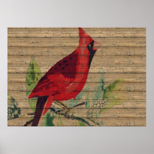 Red Bird Kardinal Foto Nature Wall Poster