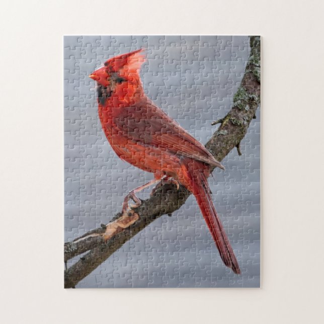 Red Bird of Summer Puzzle (Vertikal)
