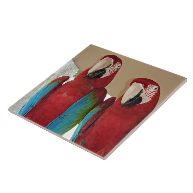 Red Blue Green Macaws Fliese (Seite)