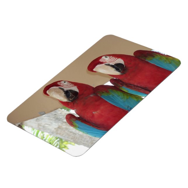 Red Blue Green Macaws Magnet (Linke Seite)