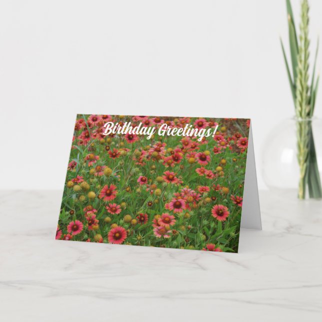 Red Blume Meadow Wildblume Geburtstagskarte Karte (Vorderseite)