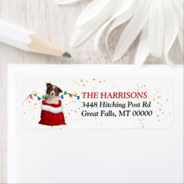 Red Border Collie Puppy Bag Rücksendeadresse