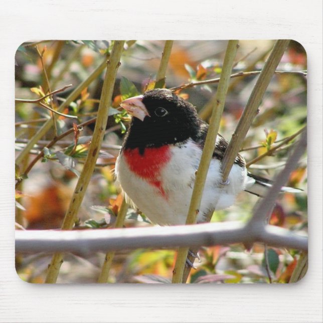 Red Breasted Grosbeak Mousepad (Vorne)