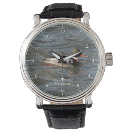 Red Breasted Merganser Uhr