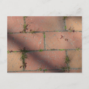 Red Brick Postkarte