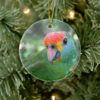 Red Brown Amazon Parrot II Keramik Ornament