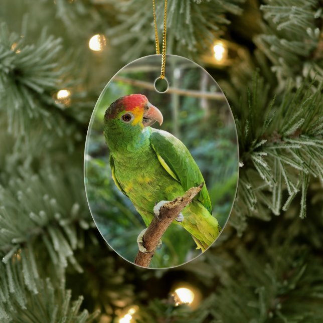 Red Brown Amazon Parrot Keramik Ornament (Baum)