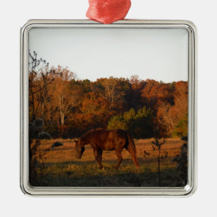 Red  Brown horse, autumn woods. Ornament Aus Metall