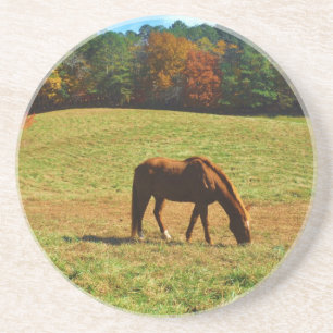 Red Brown horse in the  autumn trees Getränkeuntersetzer