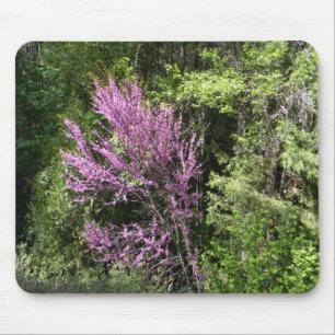 Red Bud Baum im Frühling.. Mousepad
