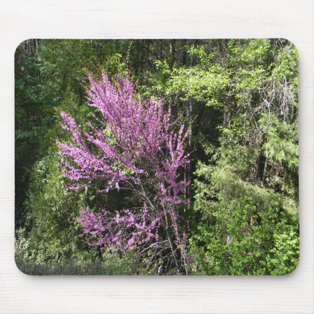 Red Bud Baum im Frühling.. Mousepad (Vorne)