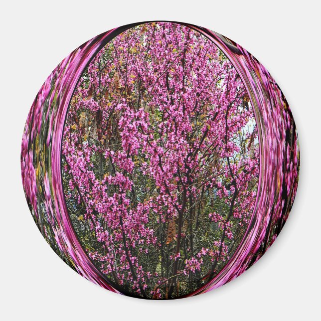 Red Bud tree.... Magnet (Vorne)