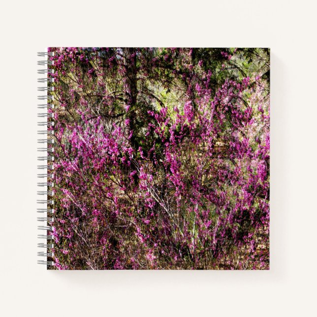 Red Bud Trees...... Notizbuch (Vorderseite)