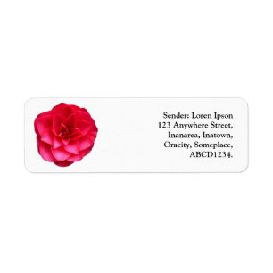 Red Camelia