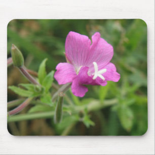 Red Campion Wildblume Mousepad