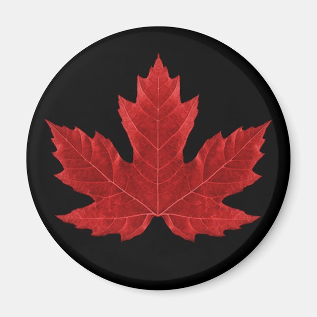 Red Canadian Maple Leaf Magnet (Vorne)