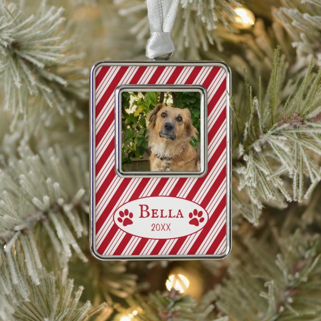 Red Candy Stripes Dog Foto Gerahmte Ornamente Rahmen-Ornament Silber (Baum)