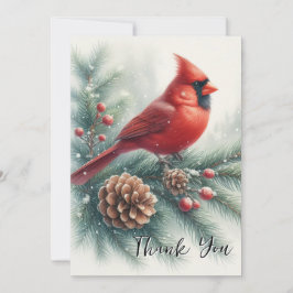 Red Cardinal Bird and Pine Dankeskarte