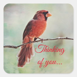 Red Cardinal Bird Penser à vous Sticker