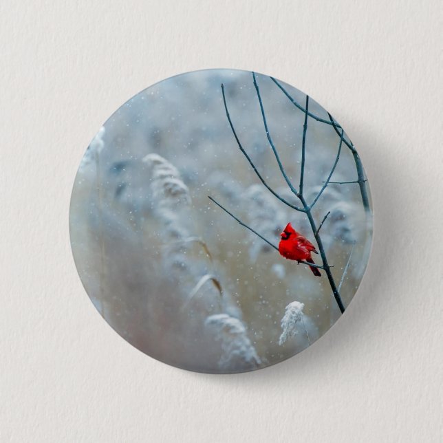 Red Cardinal in Winter Nature Foto von Christmas Button (Vorderseite)
