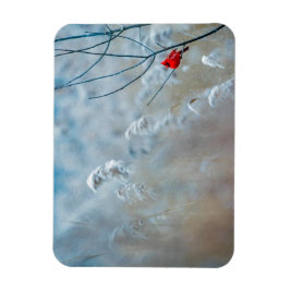 Red Cardinal in Winter Nature Foto von Christmas Magnet