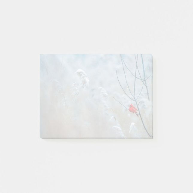 Red Cardinal in Winter Nature Foto von Christmas Post-it Klebezettel (Vorderseite)