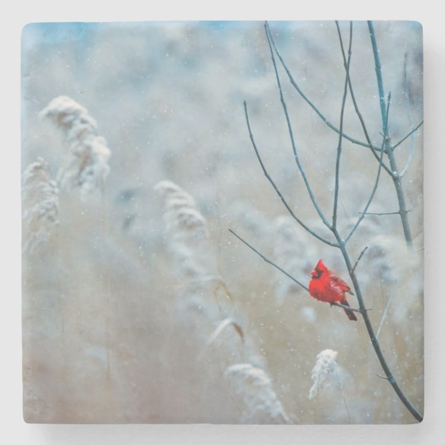 Red Cardinal in Winter Nature Foto von Christmas Steinuntersetzer (Vorderseite)