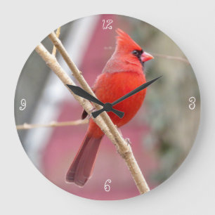 Red Cardinal Round Wall Clock Große Wanduhr