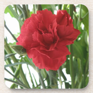 Red Carnation Cork Untersetzer