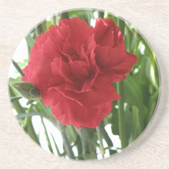 Red Carnation Untersetzer (Vorne)