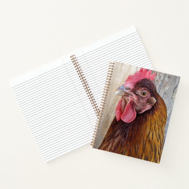 Red Chicken Hen Photo Notizbuch (Innenseite)
