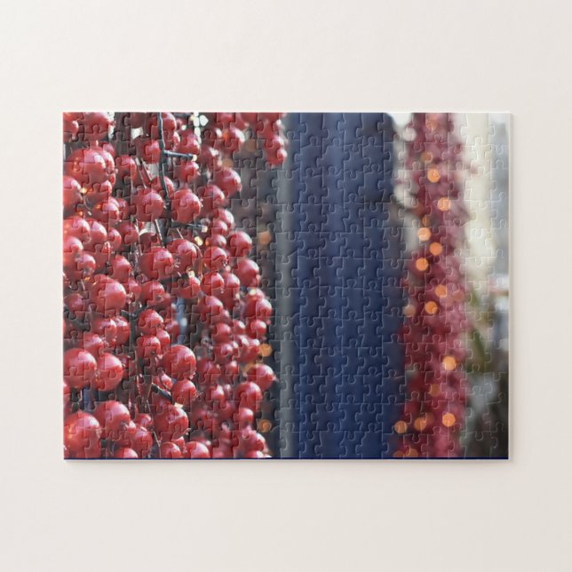 Red Christmas Berries, Kensington and Chelsea, UK (Horizontal)