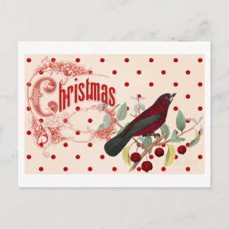 Red Christmas Bird Feiertagspostkarte