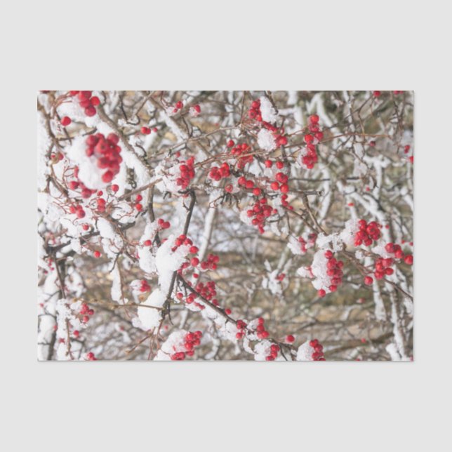 Red Christmas Holly Berries Snow WInter Decoupage Seidenpapier (Vorderseite)
