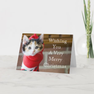 Red Christmas Kitten Feiertagskarte