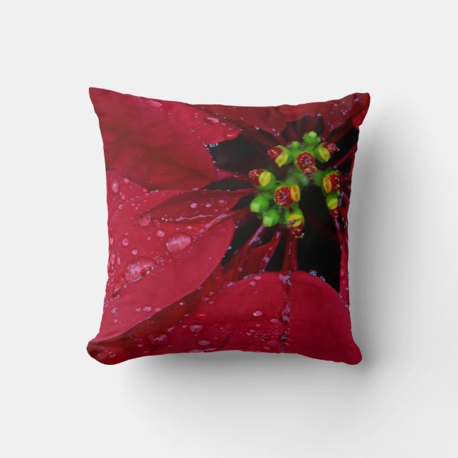 Red Christmas Poinsettia Kissen (Vorderseite)