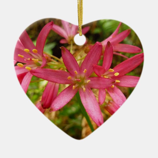 Red Clintonia Blume in Redwoods Keramik Ornament (Vorne)