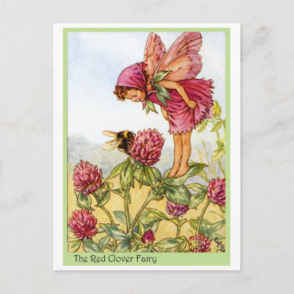 Red Clover Fairy Postkarte