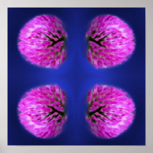Red Clover Wildblume Abstrakt Poster