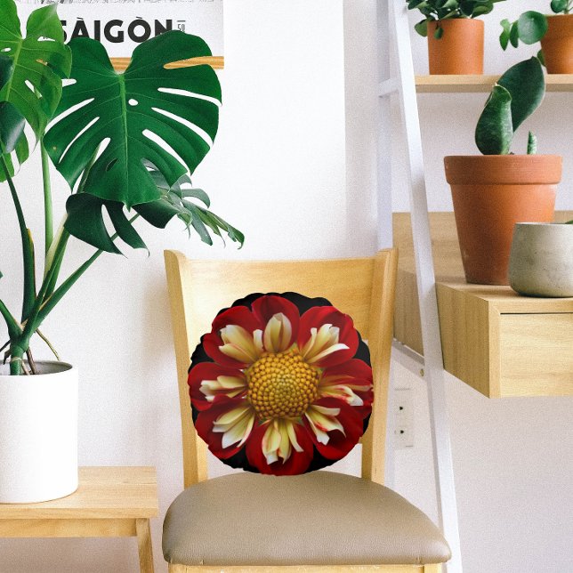 Red Collarette Dahlia Floral on Black Rundes Kissen (In Situ Chair)
