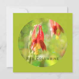 Red Columbine Blume auf Atlantis Green Flat Card