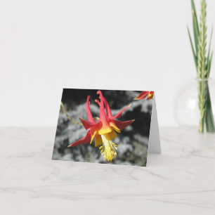 Red Columbine Note Card Karte