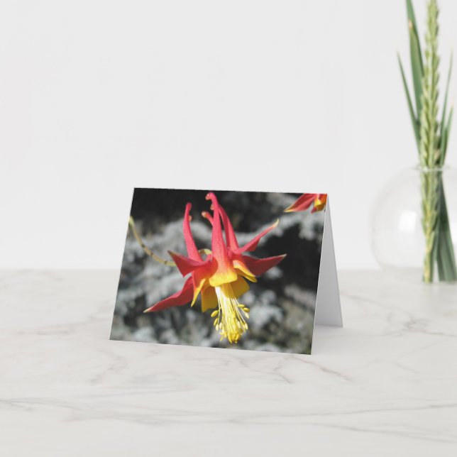 Red Columbine Note Card Karte (Vorderseite)