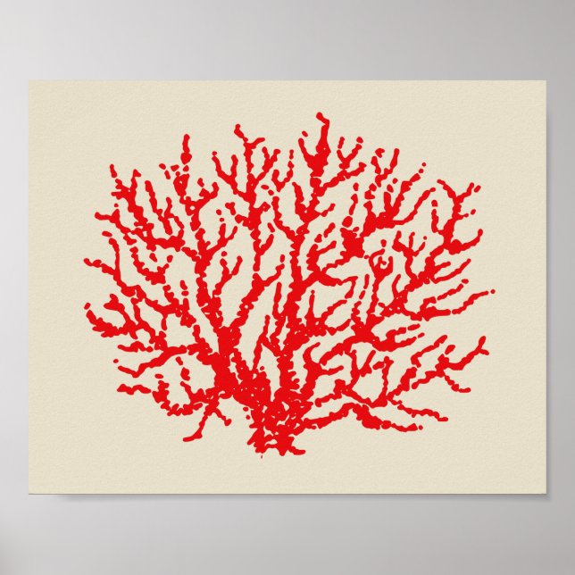 Red Coral Beach Wall Art Poster Print Deco (Vorne)