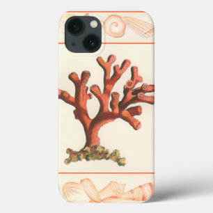 Red Coral with Conch Shell Border title_seo2