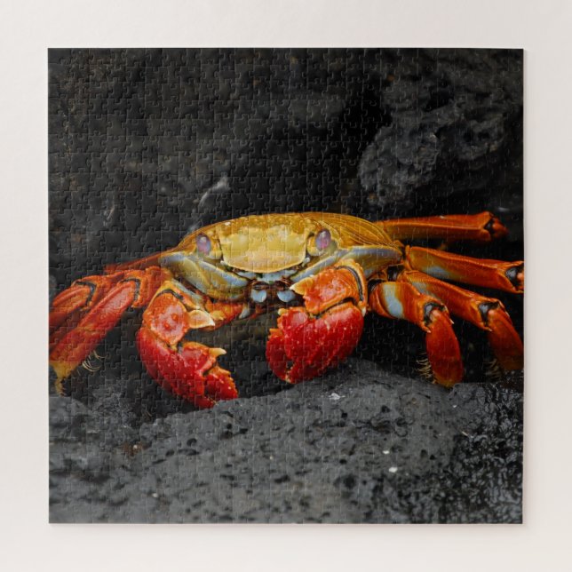 Red Crab Jigsaw Puzzle (Vertikal)