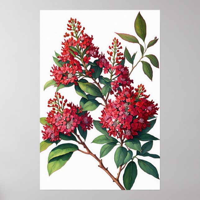 Red Crepe Myrtle Blume Art Print Poster (Vorne)