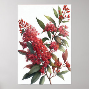Red Crepe Myrtle Blume Art Print Poster
