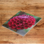 Red Dahlia Bloom Floral Keramik Tile Fliese<br><div class="desc">Keramik Kachel,  die das Foto eines roten Dahlia Blüte zeigt. Ein schönes,  blumengeschmücktes Design! Wählen Sie Ihre Kachelgröße aus. Eine tolle Küche trivet!</div>