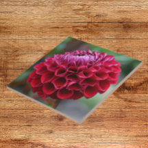 Red Dahlia Bloom Floral Keramik Tile